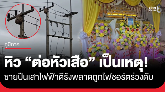 หิวเป็นเหตุ! ชายอยากกิน "ต่อหัวเสือ" ปีนเสาไฟฟ้าแรงสูงตีรัง พลาดถูกไฟชอร์ตร่วงตกดับ