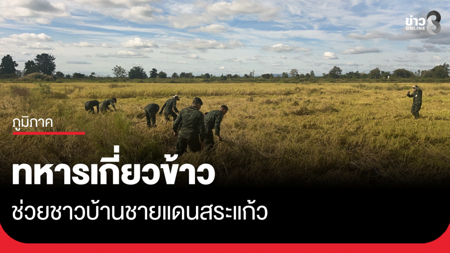 ทหาร กกล.บูรพา ช่วยเกี่ยวข้าวชายแดนสระแก้ว