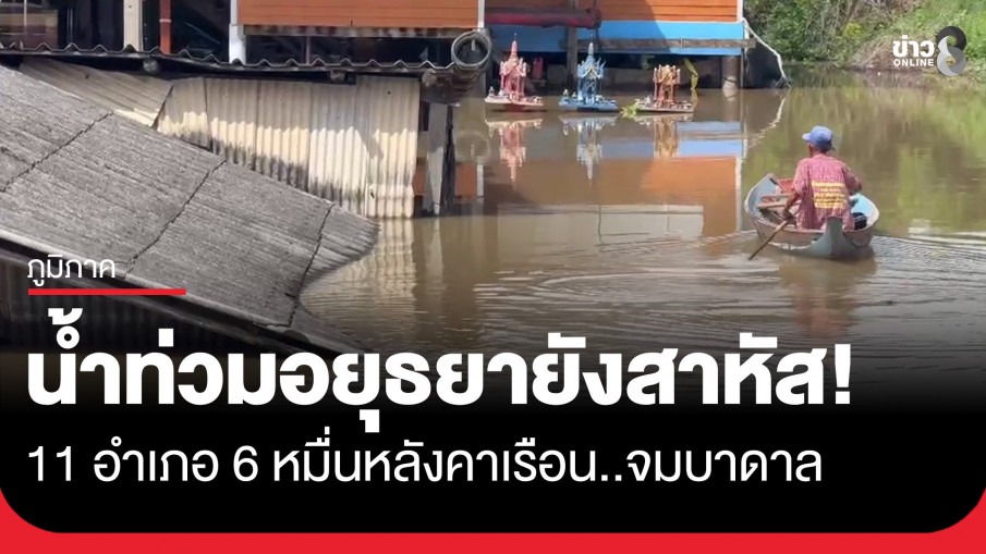 น้ำท่วมอยุธยายังสาหัส! 11 อำเภอ 6 หมื่นหลังคาเรือนจมบาดาล วัว-ควายหญ้าสดเริ่มขาดแคลน