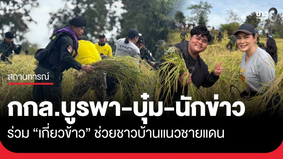 กกล.บูรพา-บุ๋ม ปนัดดา-ฝันดี ฝันเด่น-นักข่าวช่อง 8 ร่วมเกี่ยวข้าวช่วยชาวบ้านแนวชายแดน
