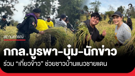 กกล.บูรพา-บุ๋ม ปนัดดา-ฝันดี ฝันเด่น-นักข่าวช่อง 8 ร่วมเกี่ยวข้าวช่วยชาวบ้านแนวชายแดน