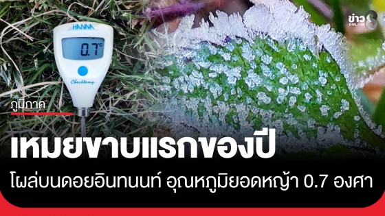 มาแล้ว "เหมยขาบแรกของปี" โผล่บนดอยอินทนนท์ อุณหภูมิยอดหญ้า 0.7 องศาฯ