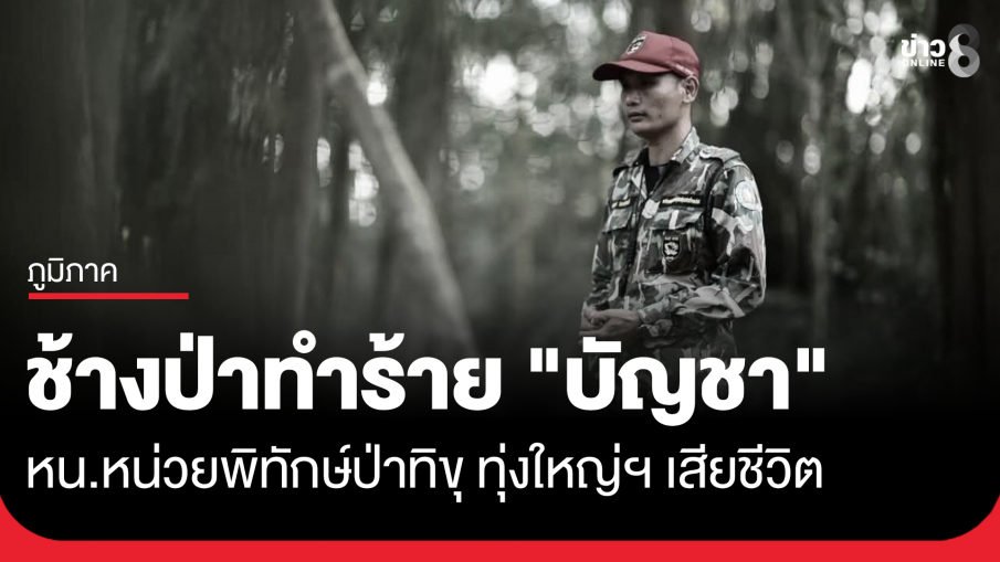 ช้างป่าทำร้าย "บัญชา" หัวหน้าหน่วยพิทักษ์ป่าทิขุ ทุ่งใหญ่นเรศวรฯ เสียชีวิต