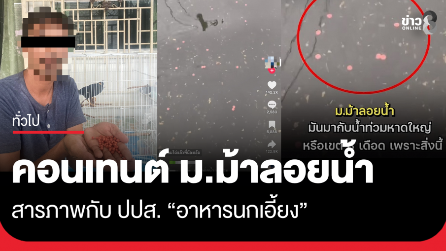 คลิปคอนเทนต์ "ม.ม้าลอยน้ำ" สารภาพ "อาหารนกเอี้ยง"