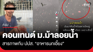 คลิปคอนเทนต์ "ม.ม้าลอยน้ำ" สารภาพ...