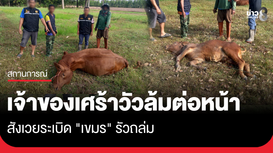 "คนเลี้ยงวัว" เล่านาทีระเบิดตก ฝุ่นตลบ พบวัวตาย 2 ตัว พืชผลทางการเกษตร และทรัพย์สินเสียหาย