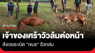 "คนเลี้ยงวัว" เล่านาทีระเบิดตก ฝุ่นตลบ พบวัวตาย 2 ตัว...