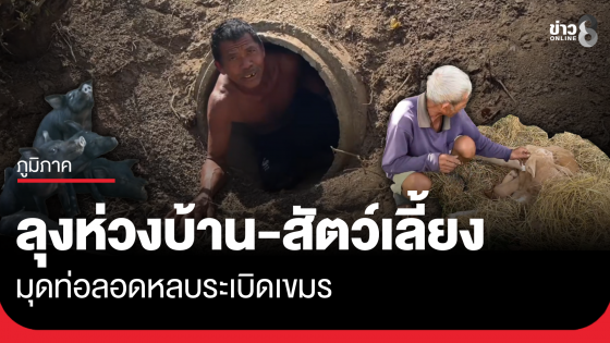 ลุงห่วงสัตว์เลี้ยง อาศัยท่อลอดถนน หลบระเบิดเขมร