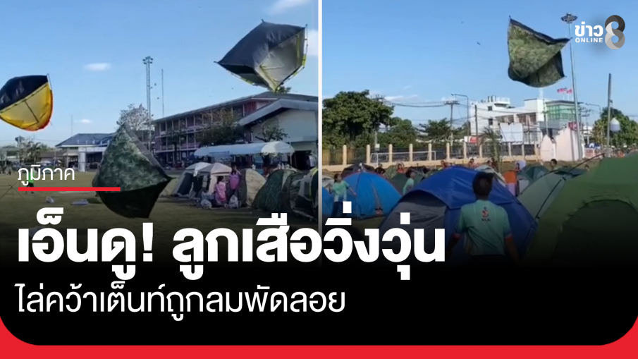 เอ็นดู! ลูกเสือวิ่งวุ่น ไล่คว้าเต็นท์ถูกลมพัดลอย