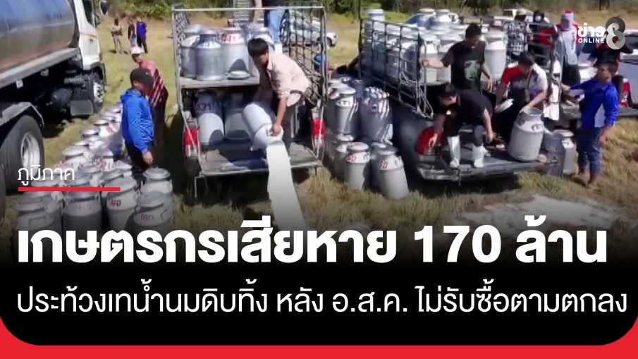 เกษตรกรผู้เลี้ยงโคนม ประท้วงเทน้ำนมดิบทิ้ง หลัง อ.ส.ค. ไม่รับซื้อตามตกลง เสียหาย 170 ล้านบาท