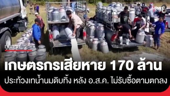 เกษตรกรผู้เลี้ยงโคนม ประท้วงเทน้ำนมดิบทิ้ง หลัง อ.ส.ค. ไม่รับซื้อตามตกลง เสียหาย 170 ล้านบาท