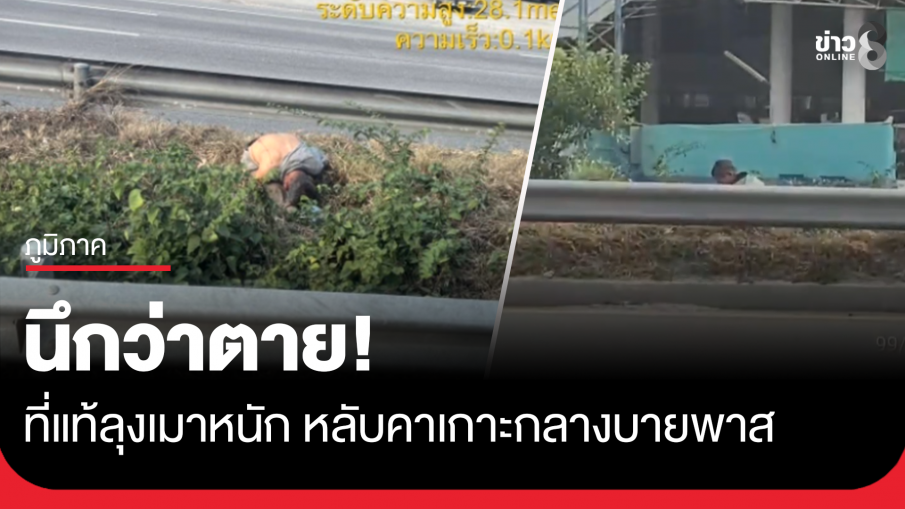 นึกว่าตาย ที่แท้ลุงเมาหลับคาเกาะกลางบายพาส