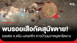 ผวาหนัก! พบรอยเสือกัดสุนัขตาย รอยต่อตรัง-นครศรีฯ ชาวบ้านหยุดกรีดยาง