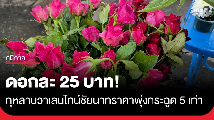 ใกล้วาเลนไทน์! ดอกกุหลาบชัยนาทราคาพุ่ง 5 เท่า (ดอกละ 25 บาท)