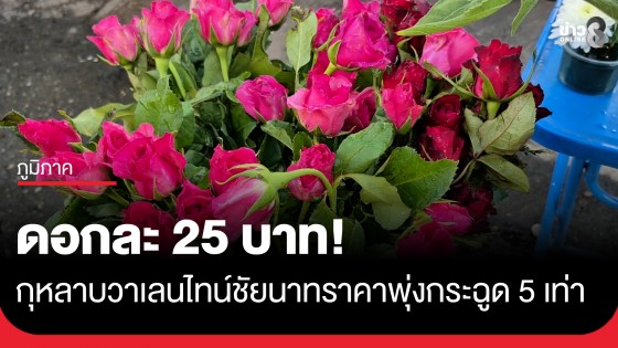 ใกล้วาเลนไทน์! ดอกกุหลาบชัยนาทราคาพุ่ง 5 เท่า (ดอกละ 25 บาท)