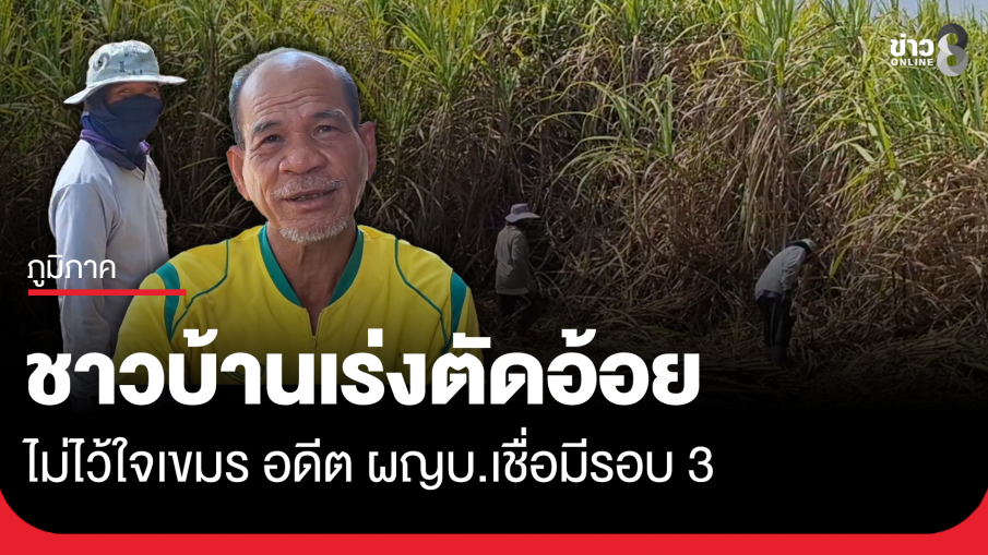 ชาวบ้านชายแดนกาบเชิงเร่งตัดอ้อย ไม่ไว้ใจเขมร