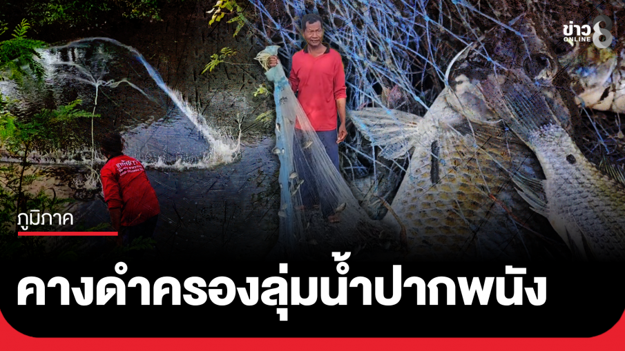 ชาวบ้านโอด "คางดำ" ยึดครองลุ่มน้ำปากพนัง