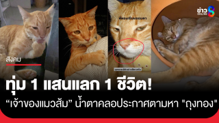 น้ำตานอง! 7 ปีที่ผูกพัน "เจ้าของแมวส้ม" ย่านบางบัวทอง...