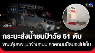 ป้าวัย 61 วิ่งไปอุ้มศพแมวรักถูกรถชน ขณะข้ามถนนกลางดึก...
