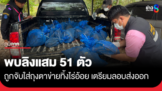 พบลิงแสม 51 ตัว ถูกจับใส่ถุงตาข่าย เตรียมลอบส่งออก
