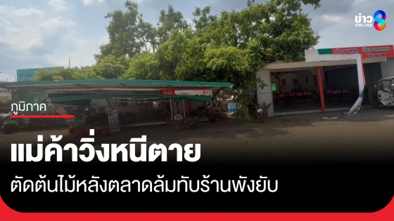 ตัดต้นไม้พลาด ล้มทับร้านค้าพังยับ