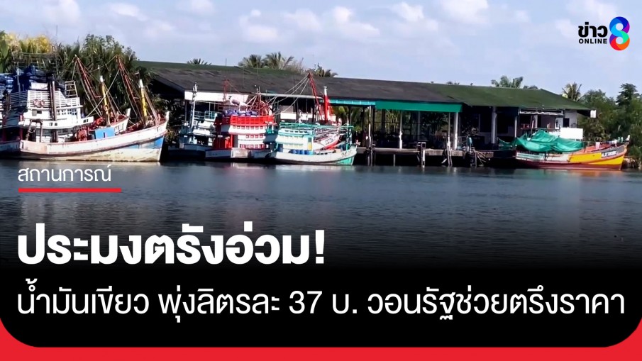 สู้ไม่ไหวก็ต้องจอด! พรุ่งนี้ตัวแทนประมงจ่อเข้าพบ รมว.คมนาคม หาทางรอดวิกฤตน้ำมันเขียวแพง