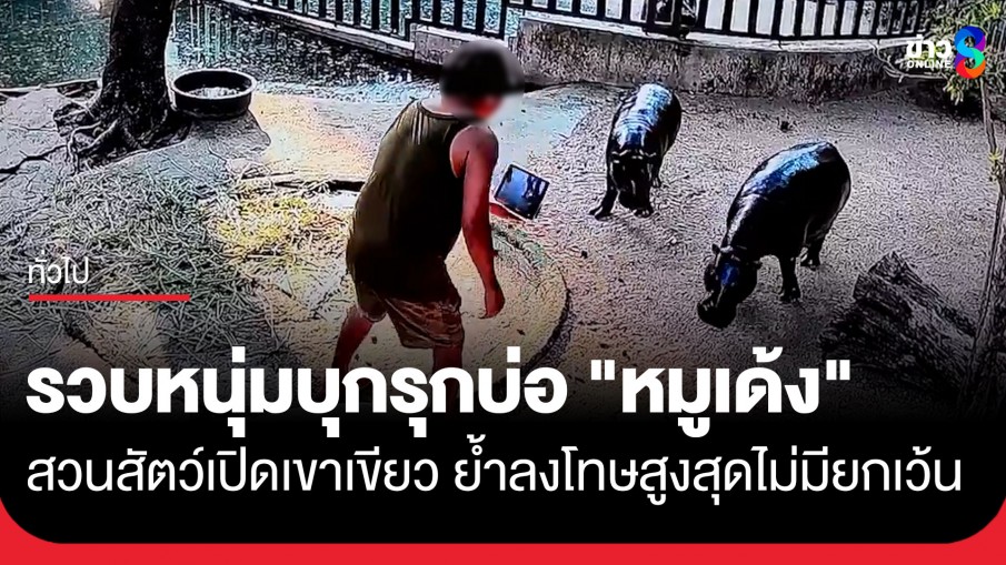 รวบหนุ่มบุกรุกเข้าไปในบ่อ "หมูเด้ง" ส่งดำเนินคดี!