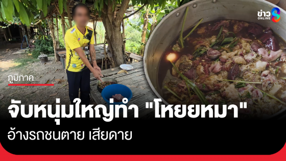จับชายกำลังทำ "โหยยหมา" อ้างรถชนตาย เสียดาย