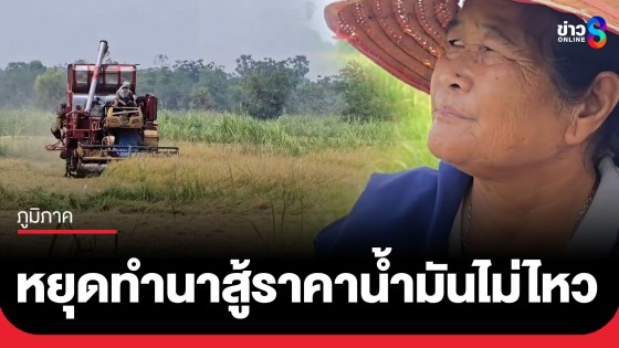 ไปต่อไม่ไหว! น้ำมันพุ่งสูงทะลุ 50 บาท ชาวนา อ.เก้าเลี้ยว จ.นครสวรรค์ เริ่มหยุดทำนาแล้ว หลังแบกหนี้อ่วม-รายได้ไม่คุ้มทุน