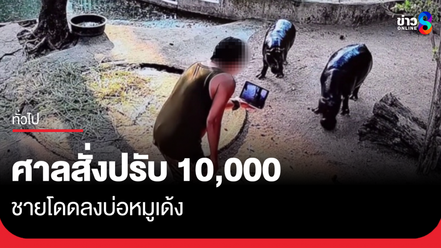 ศาลสั่งปรับ ชายโดดลงบ่อหมูเด้ง 10,000