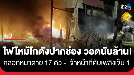 ไฟไหม้โกดังเก็บแก้วกาแฟ คลอกหมาตาย 17 ตัว - เจ้าหน้าที่ดับเพลิงเจ็บ 1