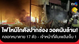 ไฟไหม้โกดังเก็บแก้วกาแฟ คลอกหมาตาย 17 ตัว - เจ้าหน้าที่ดับเพลิงเจ็บ...