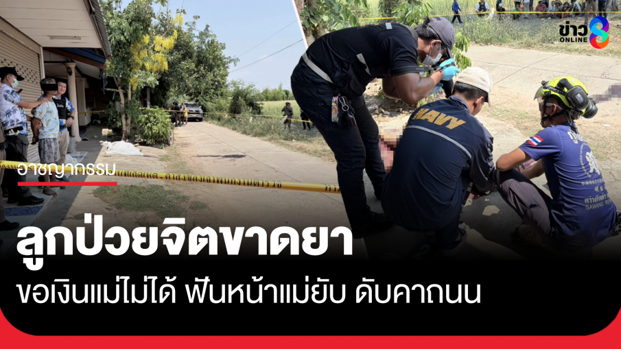 ลูกป่วยจิตเวช ขาดยา ขอเงินแม่ไม่ได้ ฟันหน้าแม่ยับ ดับกลางถนน