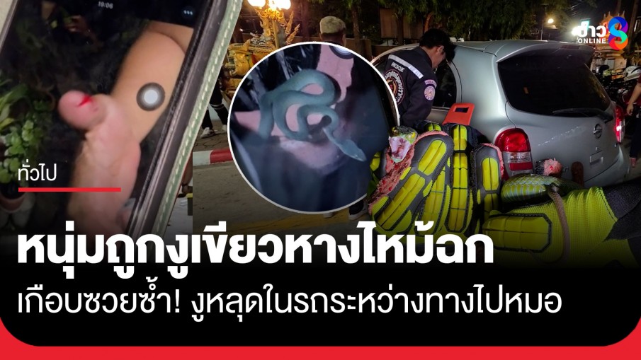 เกือบซวยซ้ำ! งูเขียวหางไหม้ฉกหนุ่มปากน้ำ แถมแหกถุงหนีซ่อนในรถขณะไปหาหมอ กู้ภัยล้อมจับวุ่น