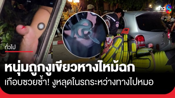 เกือบซวยซ้ำ! งูเขียวหางไหม้ฉกหนุ่มปากน้ำ แถมแหกถุงหนีซ่อนในรถขณะไปหาหมอ กู้ภัยล้อมจับวุ่น