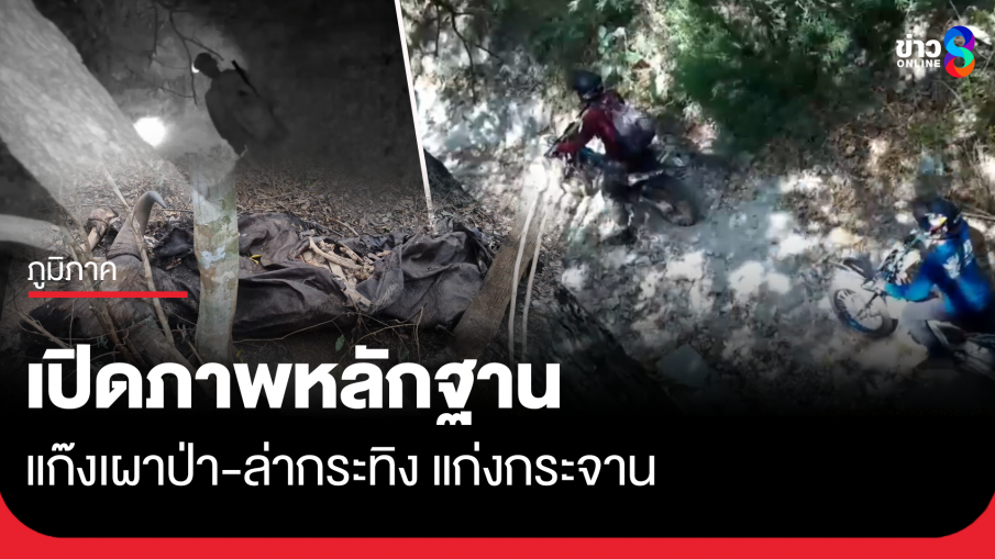 เปิดภาพหลักฐาน แก๊งเผาป่า-ล่ากระทิง แก่งกระจาน