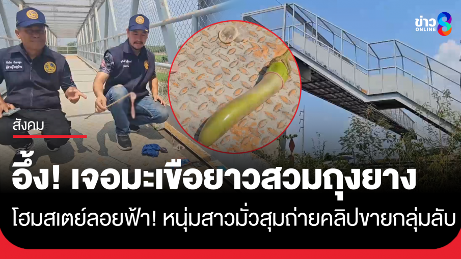 ผงะ! หลักฐานคาตา ชาวบ้านผวาวัยรุ่นมั่วสุมมั่วเซ็กซ์ แปลงโฉม "สะพานลอยคนข้าม" เป็น...