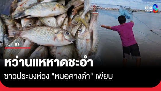 หว่านแหหาดชะอำ ติด "หมอคางดำ" เพียบ คาดหลุดคลองช่วงน้ำขึ้น