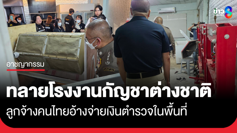ต่างชาติเช่าบ้านทำโรงผลิตกัญชา ลูกจ้างเผยจ่ายเงินให้ตำรวจพื้นที่