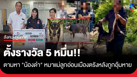 ตั้งรางวัล 5 หมื่นตามหา "น้องดำ" หมาแม่ลูกอ่อนเมืองตรัง หลังถูกอุ้มหายไร้ร่องรอย