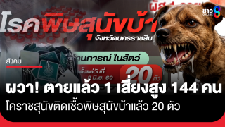 ผวา! โคราชปีนี้สุนัขติดเชื้อพิษสุนัขบ้าแล้ว20ตัว คนตาย 1 คน สัมผัสเสี่ยงสูง...