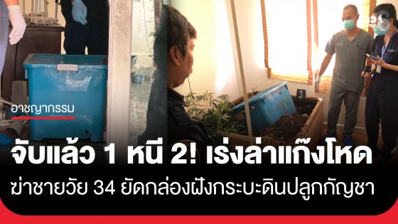 รวบแล้ว 1 ล่าอีก 2! แก๊งฆ่ายัดกล่องพลาสติกฝังกระบะดินปลูกกัญชา คาบ้านดอนเมือง