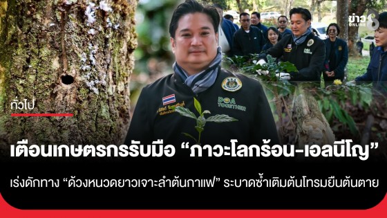 เตือนเกษตรกรรับมือ "ภาวะโลกร้อน-เอลนีโญ" ทำฝนทิ้งช่วง เร่งดักทาง "ด้วงหนวดยาวเจาะลำต้นกาแฟ"