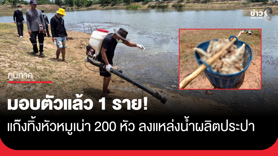 มอบตัวแล้ว 1 ราย! แก๊งทิ้งหัวหมูเน่า 200 หัว ลงแหล่งน้ำผลิตประปา 