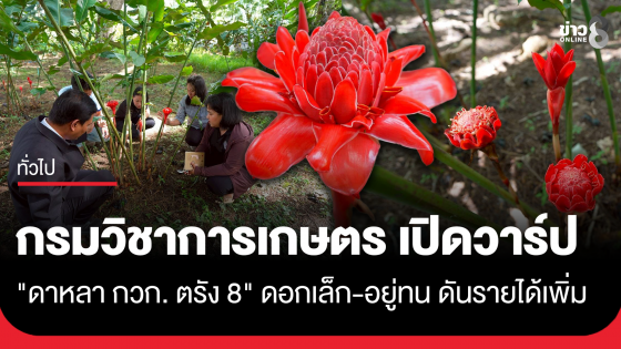 กรมวิชาการเกษตร เปิดวาร์ป "ดาหลา กวก. ตรัง 8"
