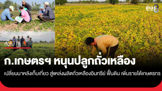 กระทรวงเกษตรฯ หนุนปลูกถั่วเหลืองหลังนา สั่งกรมวิชาการเกษตร เร่งขับเคลื่อนเกษตรมูลค่าสูง! เปลี่ยนนาหลังเก็บเกี่ยว สู่แหล่งผลิตถั่วเหลืองอินทรีย์มาตรฐานสากล...