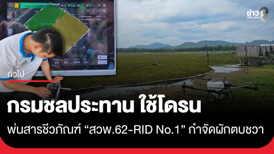 กรมชลประทานใช้โดรนพ่นสารชีวภัณฑ์ "สวพ.62 - RID No.1" กำจัดผักตบชวา
