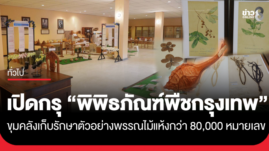 เปิดกรุ "พิพิธภัณฑ์พืชกรุงเทพ Bangkok Herbarium (BK)" พิพิธภัณฑ์พืชแห่งแรกของไทย อายุกว่าศตวรรษ ขุมคลังเก็บรักษาตัวอย่างพรรณไม้แห้งกว่า 80,000...