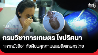 กรมวิชาการเกษตรไขปริศนา "เหาหนังสือ" ภัยเงียบคุกคามผลผลิตเกษตรไทย