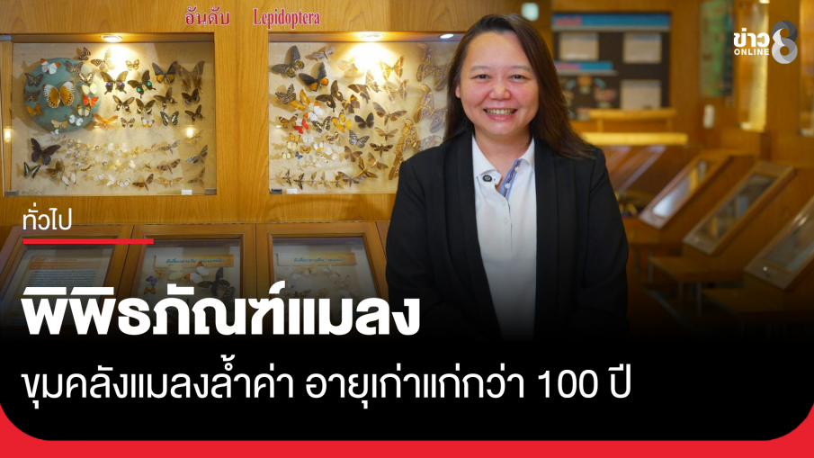 พิพิธภัณฑ์แมลง ขุมคลังแมลงล้ำค่าอายุเก่าแก่กว่า 100 ปี